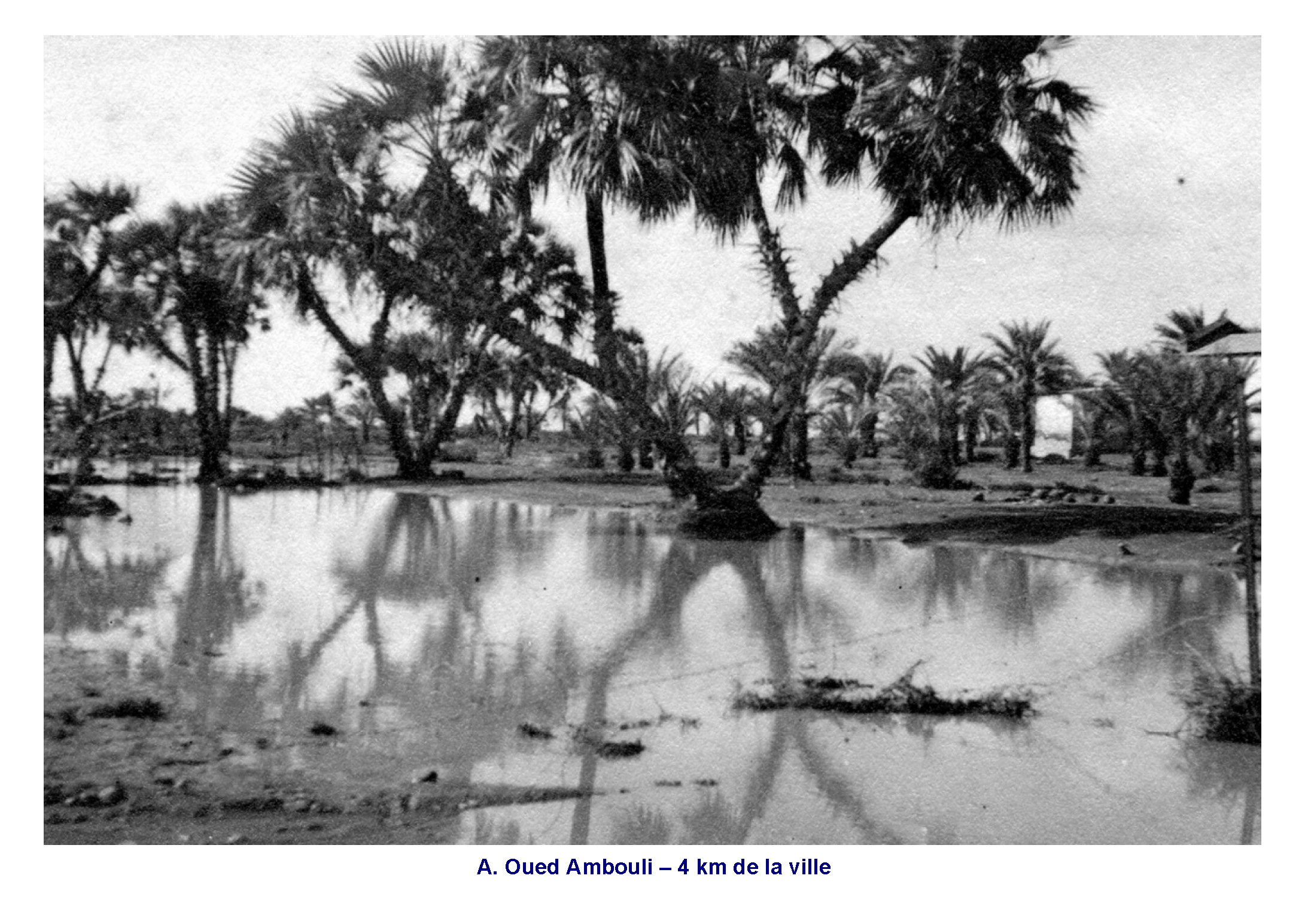 Oued Ambouli – 6 km de la ville 1935-40