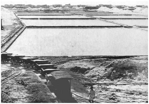 Marais salins à Djibouti en 1935