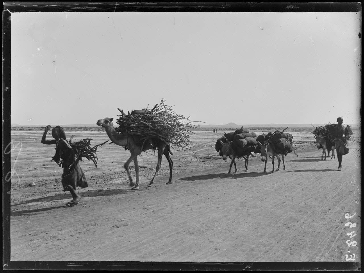 Femme transportant des fagots de bois. 1915