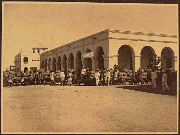 Djibouti. Transport du café harari et moka en fardes (sacs) prêtes pour l'expédition 1922
