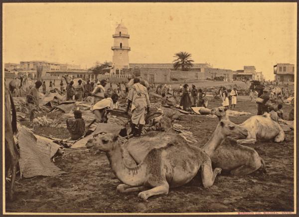 Djibouti. Un coin du marché aux bestiaux 1922